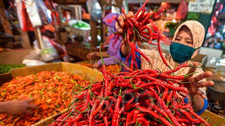 Hari Raya Idul Adha, Harga Cabai Rawit Merah Tembus Rp75 Ribu per Kg