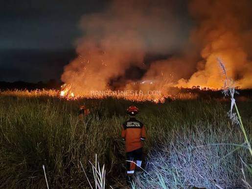 Prabowo Ancam Cabut Seluruh Izin Perusahaan yang Bakar Hutan