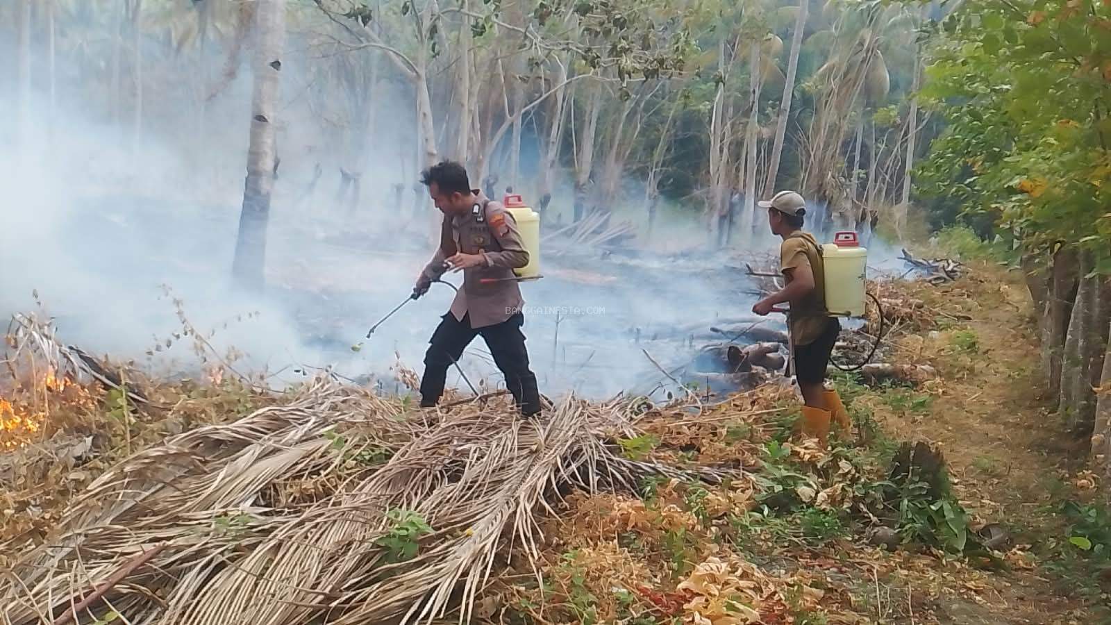 Hutan dan Perkebunan di Nuhon Terbakar, Polsek dan Warga Berjibaku Padamkan Api