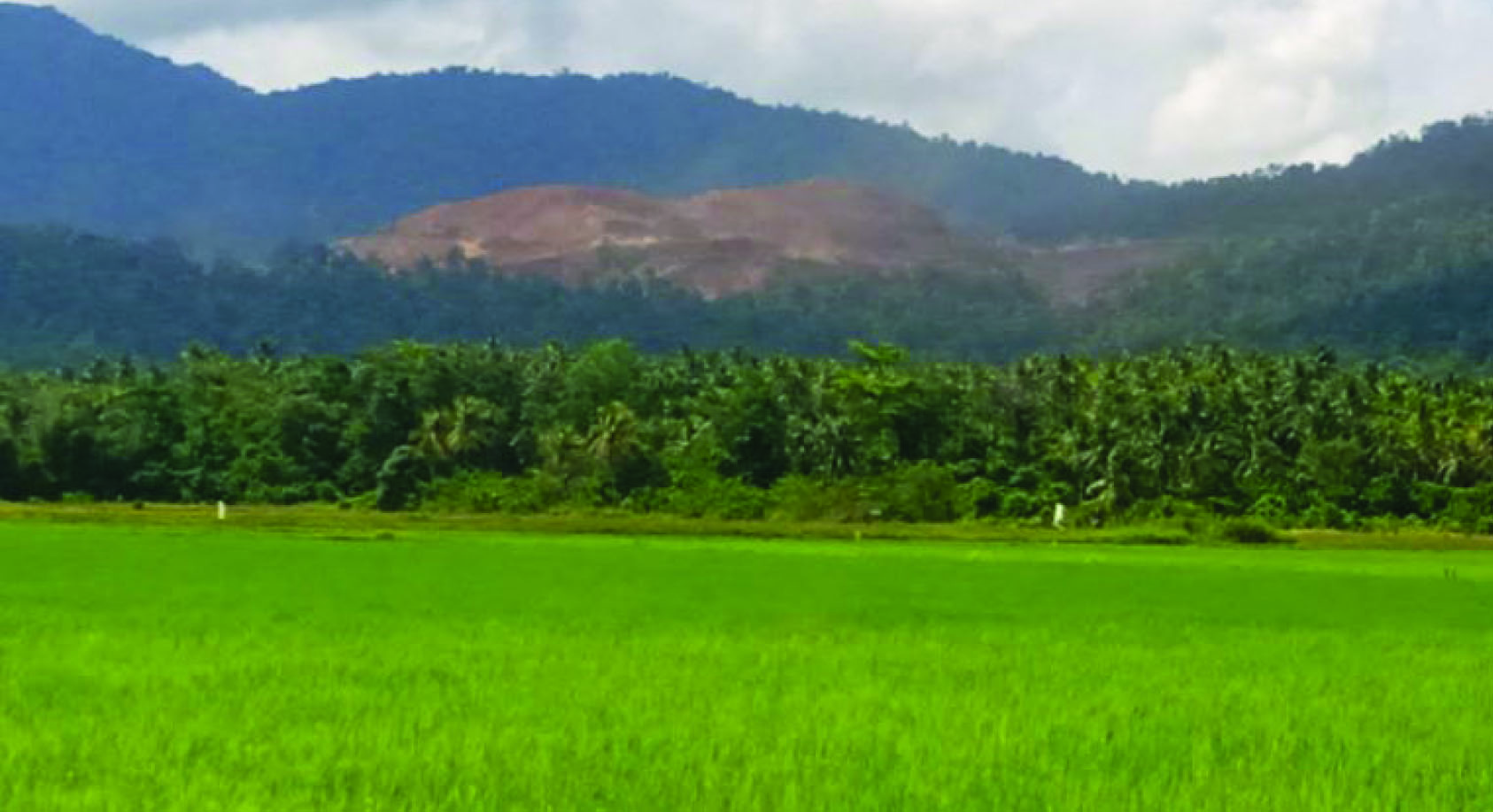 Gambar Berita
