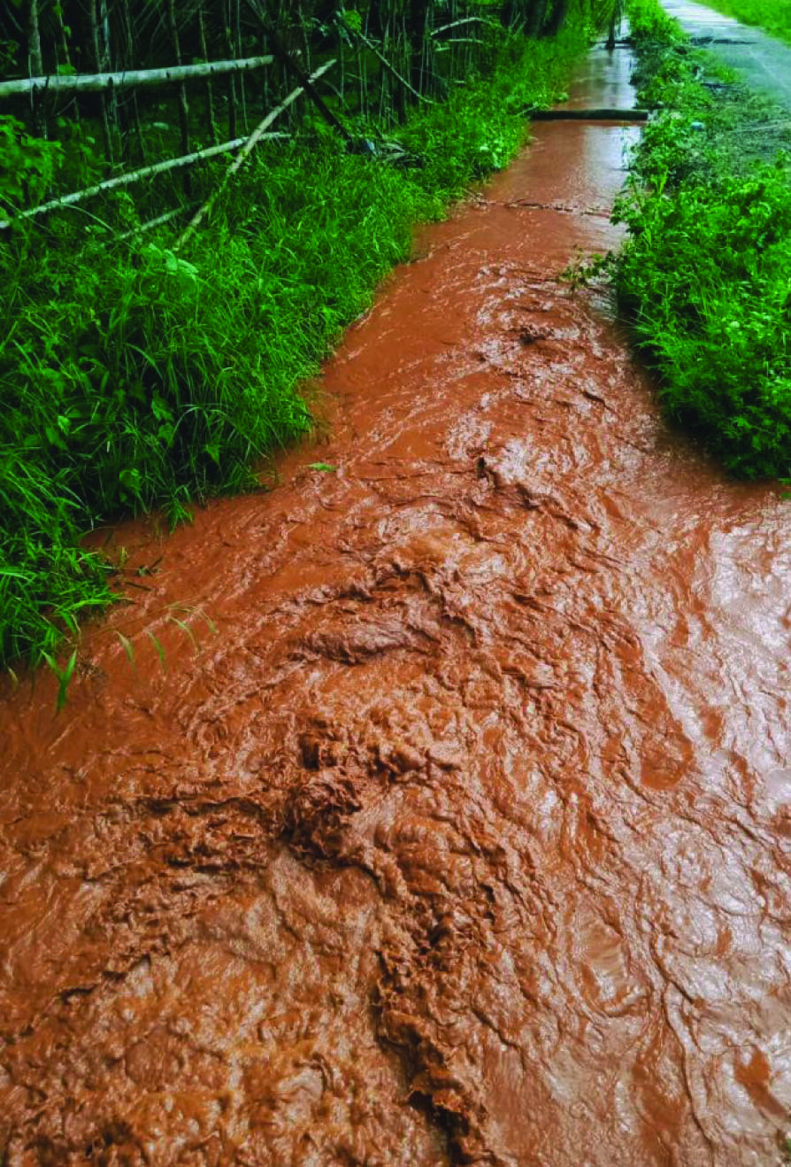 Limbah Nikel Melekat dan Meracuni Hasil Tani